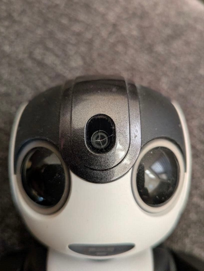 【早い者勝ち・最安値】SHARP RoBoHoN ロボホン　SR-03M-T