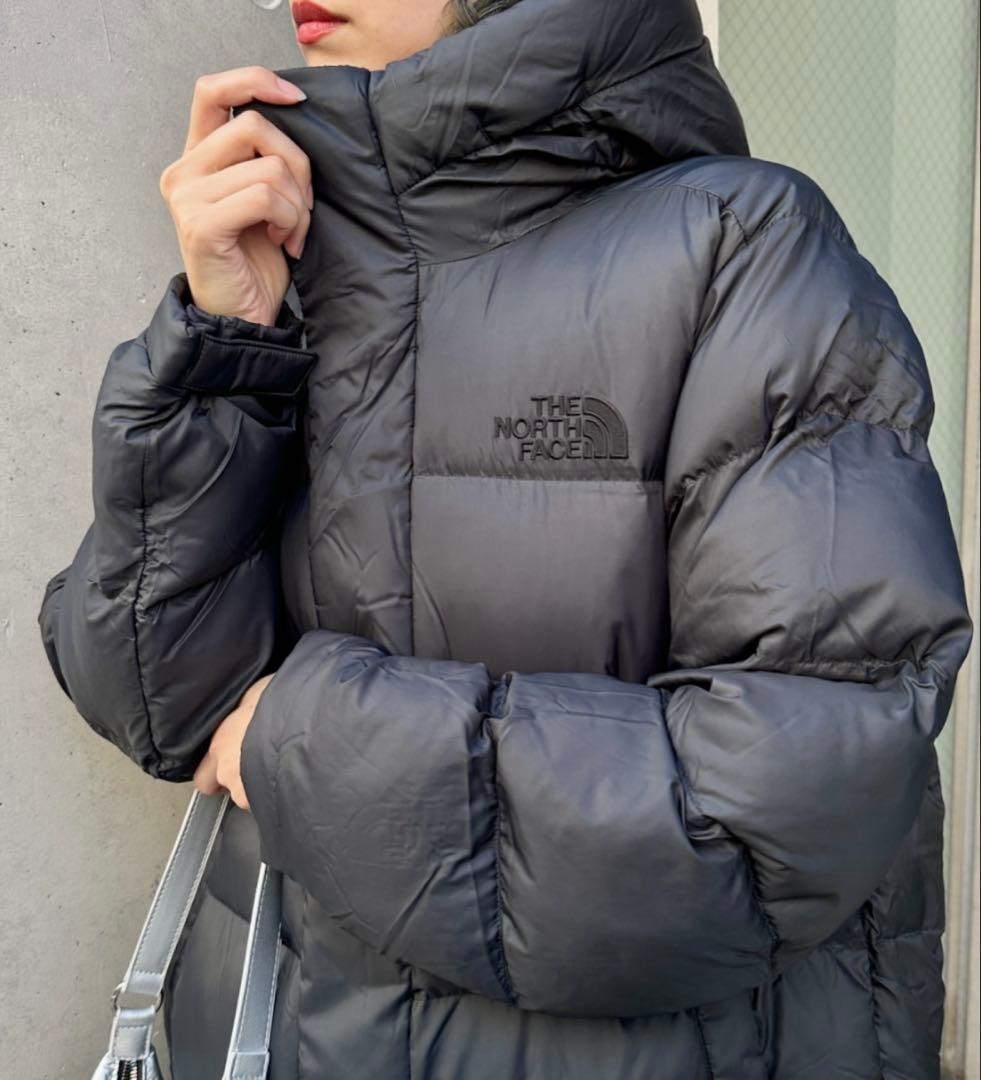 新品　値下げ中　THE NORTH FACE ロングジャケットメンズ　Ｌ
