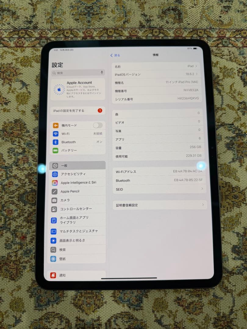 iPad Pro M4 11インチ Apple Pencil Proセット