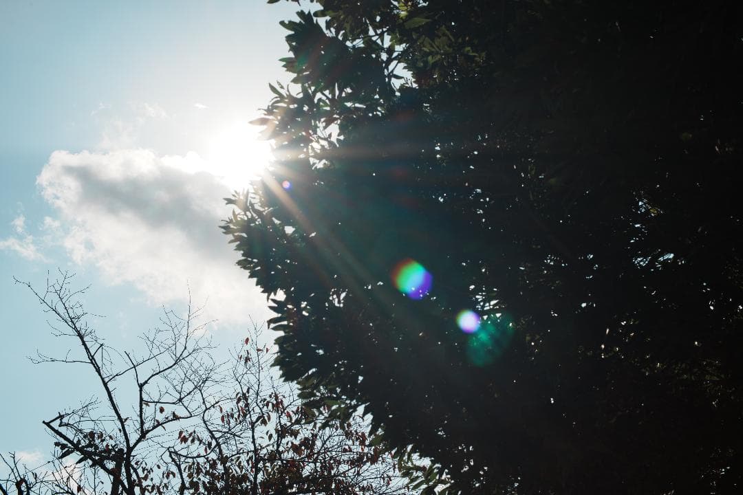 【整備＆テスト済】ニコン New Nikkor 50mm F1.4 前期 214