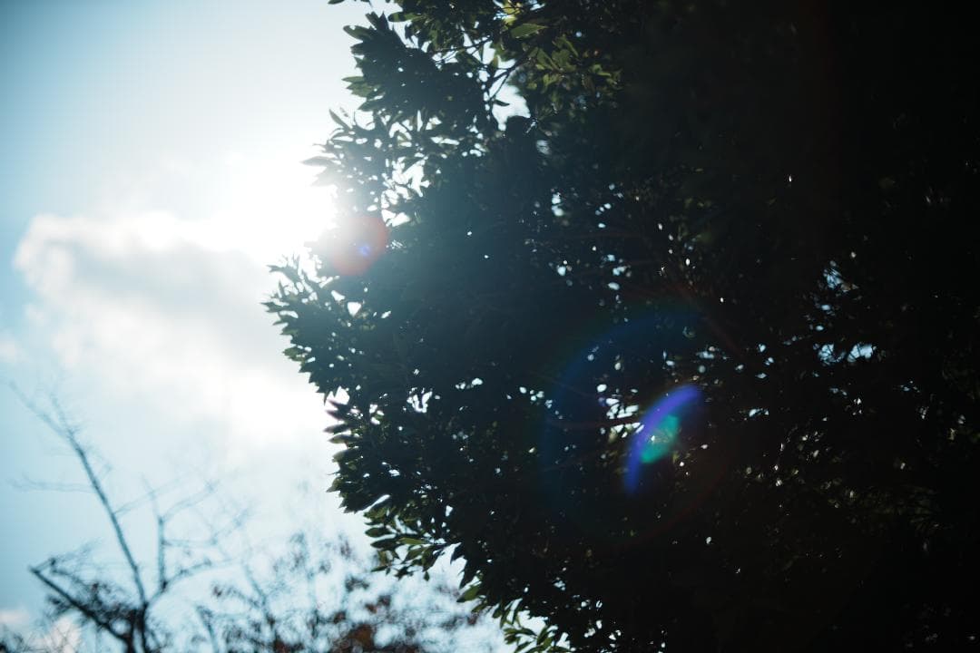 【整備＆テスト済】ニコン New Nikkor 50mm F1.4 前期 214