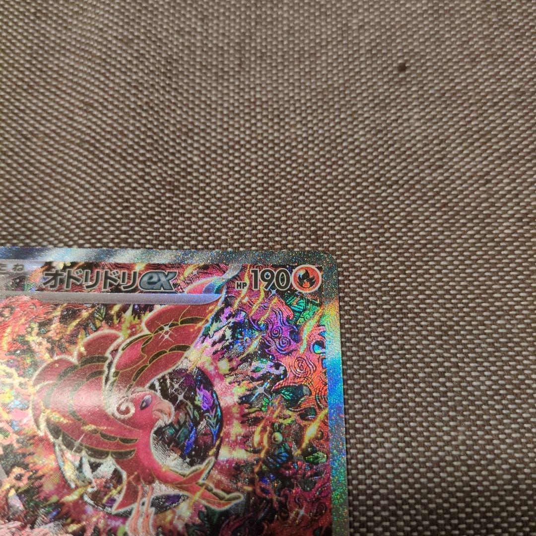 オドリドリEX sar