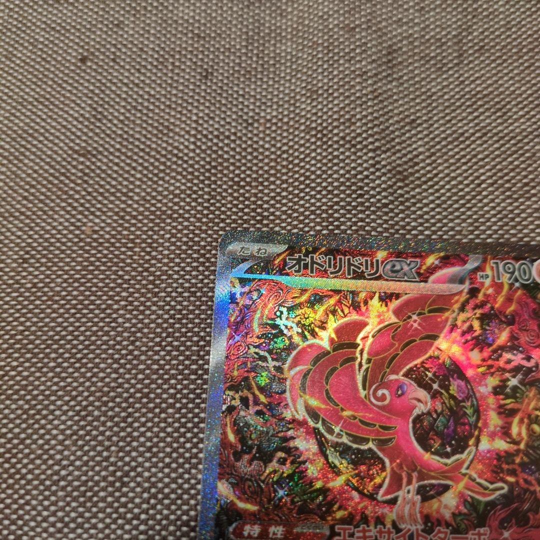 オドリドリEX sar