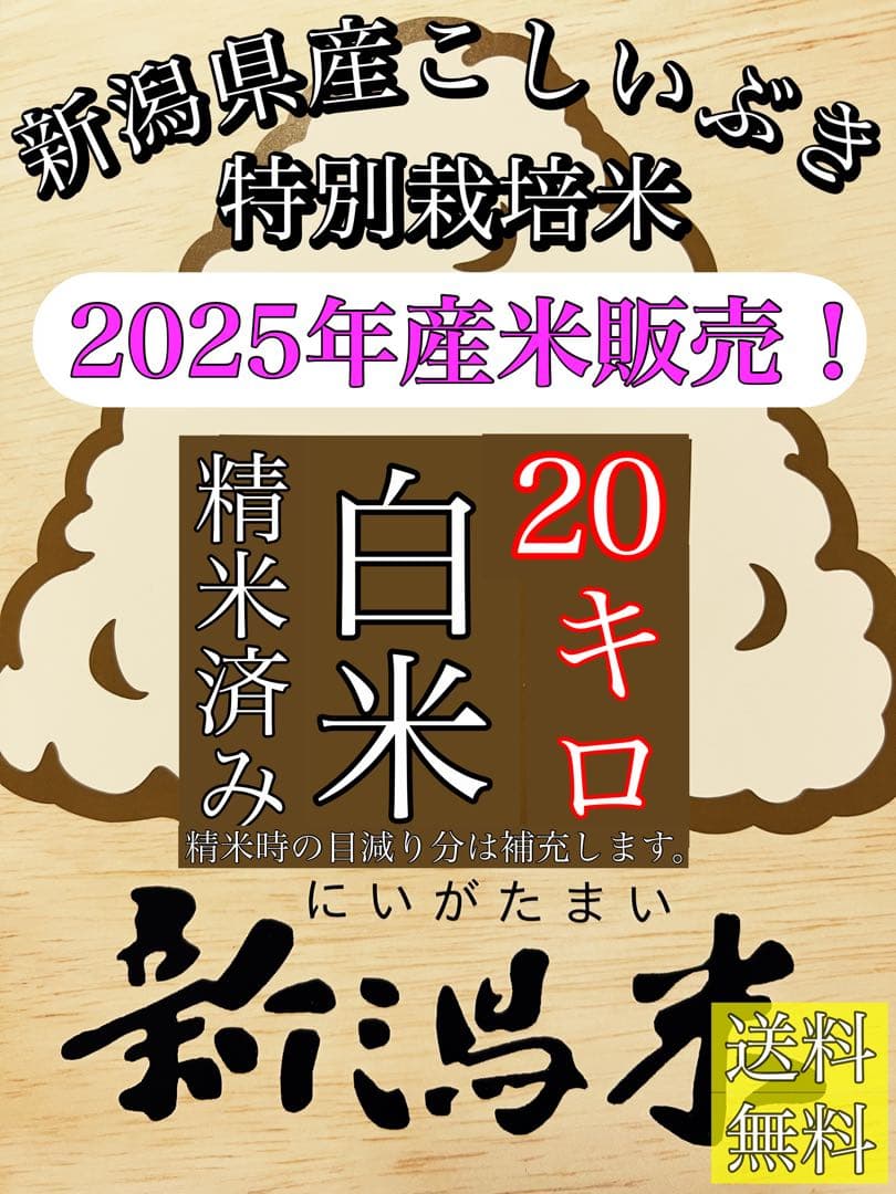 精米済み20キロ【農家直送！】新潟県産こしいぶき　特別栽培米　7年産　低温冷蔵