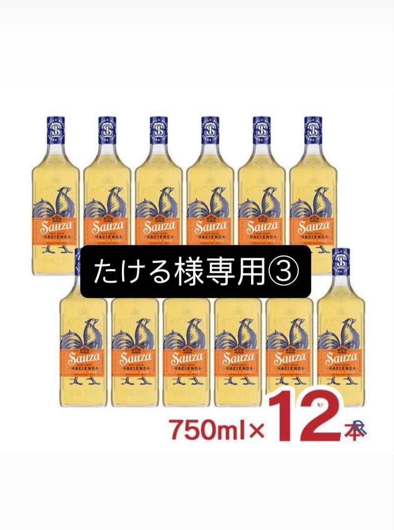 たける　サウザ1ケース③