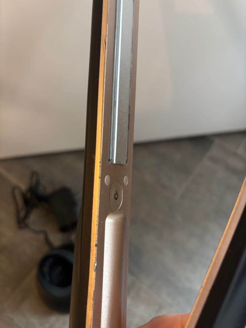 正規品　CAREPROケアプロ超音波アイロン