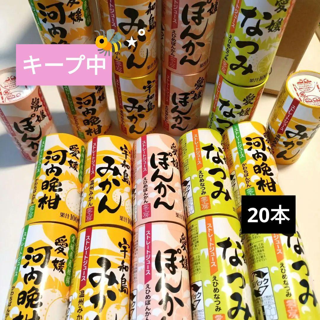 専用キープ中✨愛媛 愛工房 無添加 みかんジュース 20本セットぽんかん。なつみ