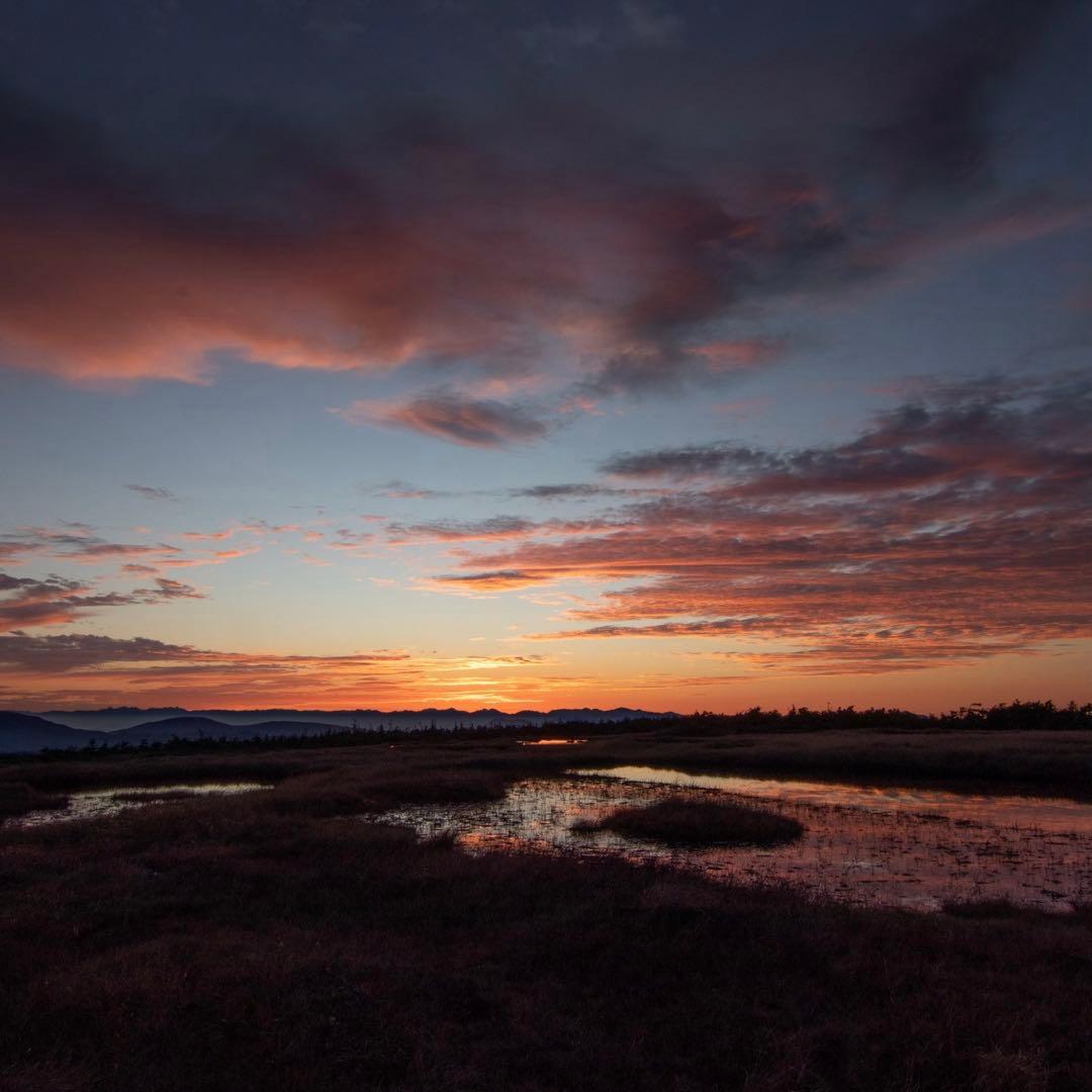 Tokina AT-X 116 PRO DX 11-16mm F2.8 キャノン