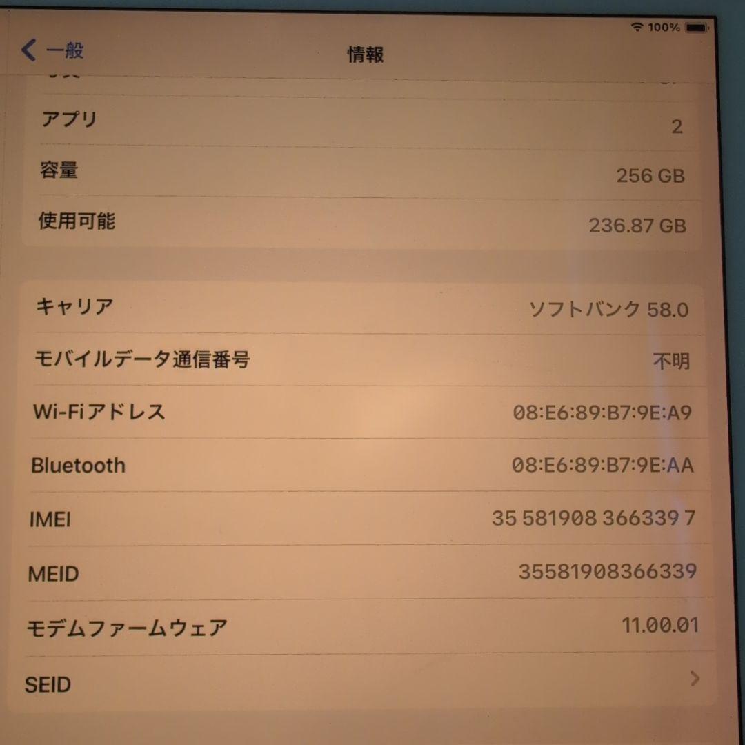 iPad pro 10.5インチ 256GB SoftBankセルラーモデル