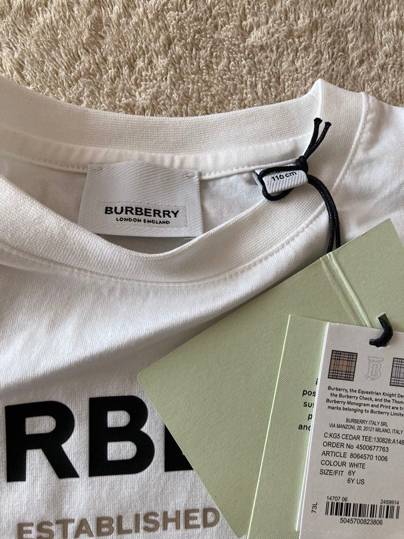 BURBERRY バーバリー　 ホースフェリープリント　ロゴ　Tシャツ
