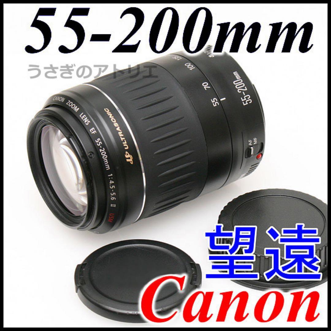 EF 55-200mm F4.5-5.6 ii USM 望遠ズームレンズ