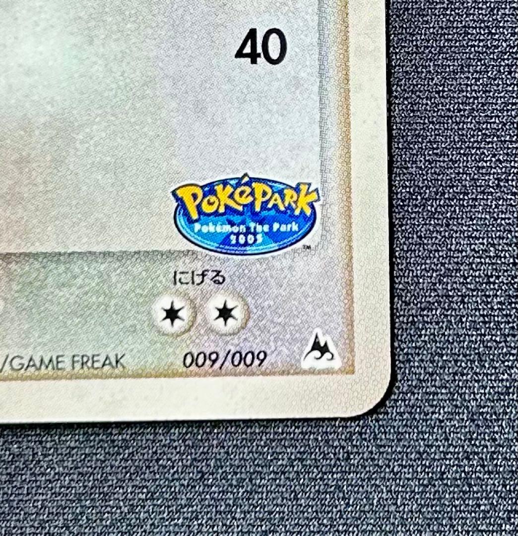 ポケパーク　レックウザ 009 ブルーシート　渦ホロ　プロモ　プレミアムファイル