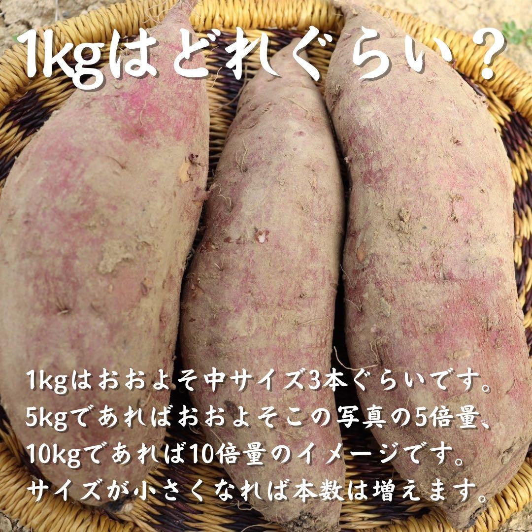さつまいも『紅はるか』20kg ★無肥料・無農薬★