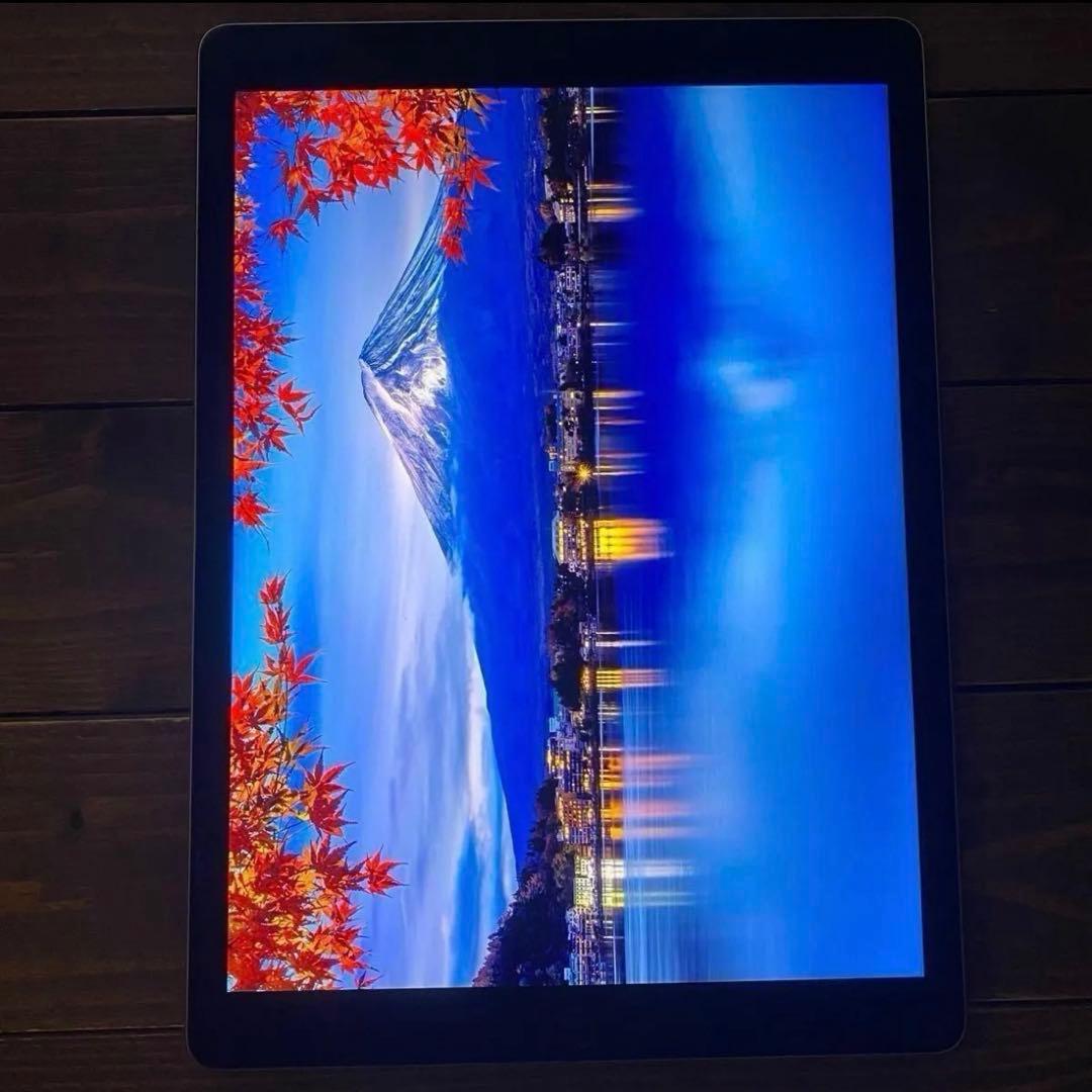 iPad Pro 12.9 インチ 第1世代 128GB wifi ジャンク