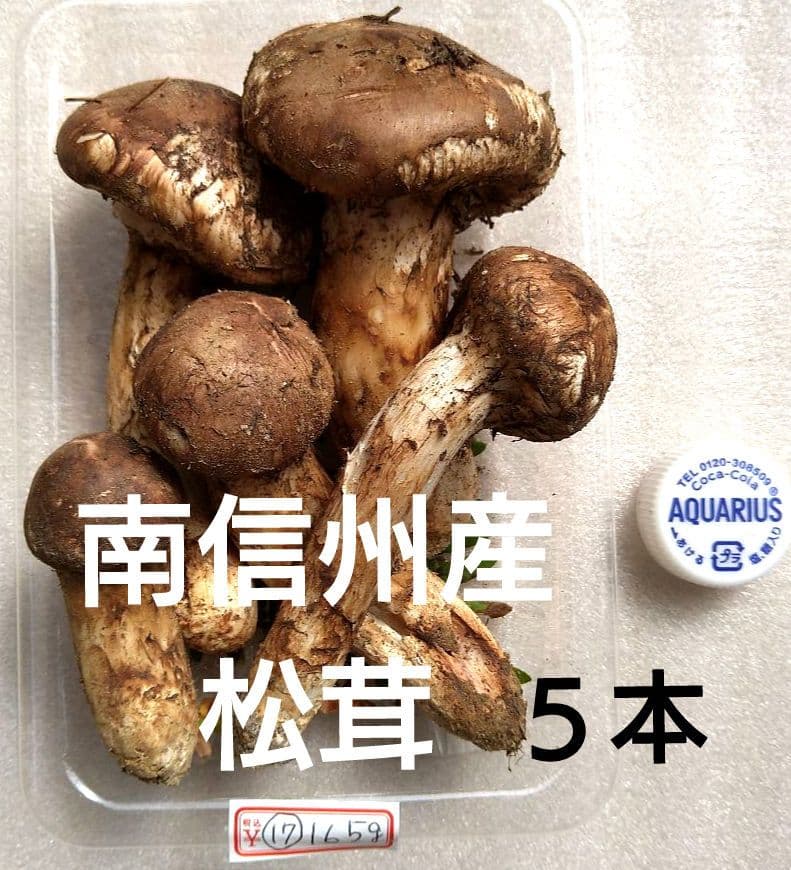 南信州産松茸約150g