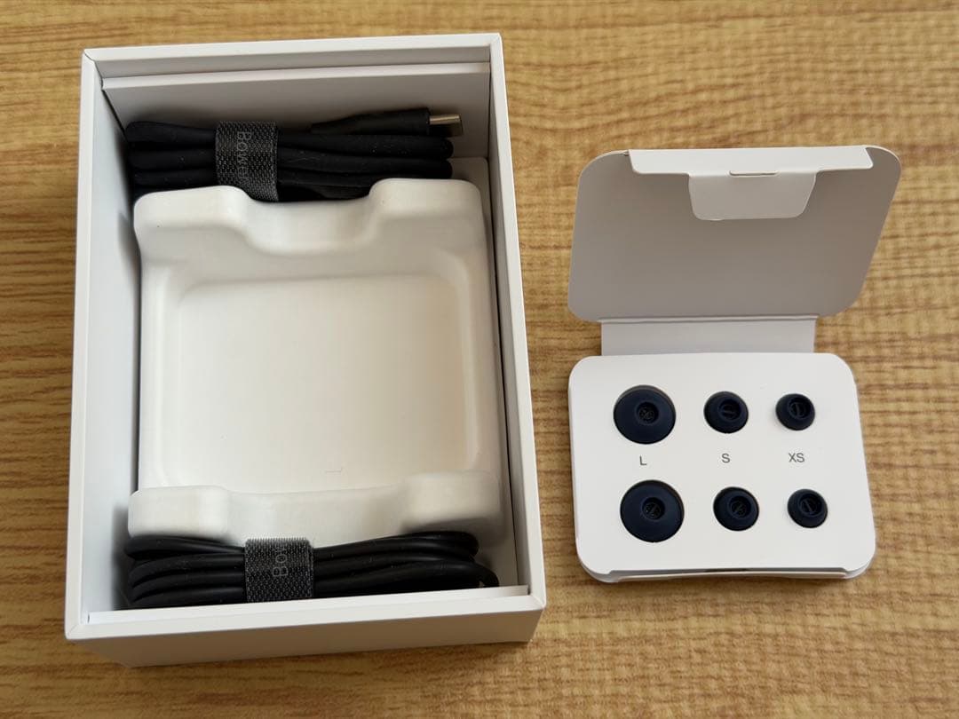 Bowers & Wilkins Pi8 コーティング済み