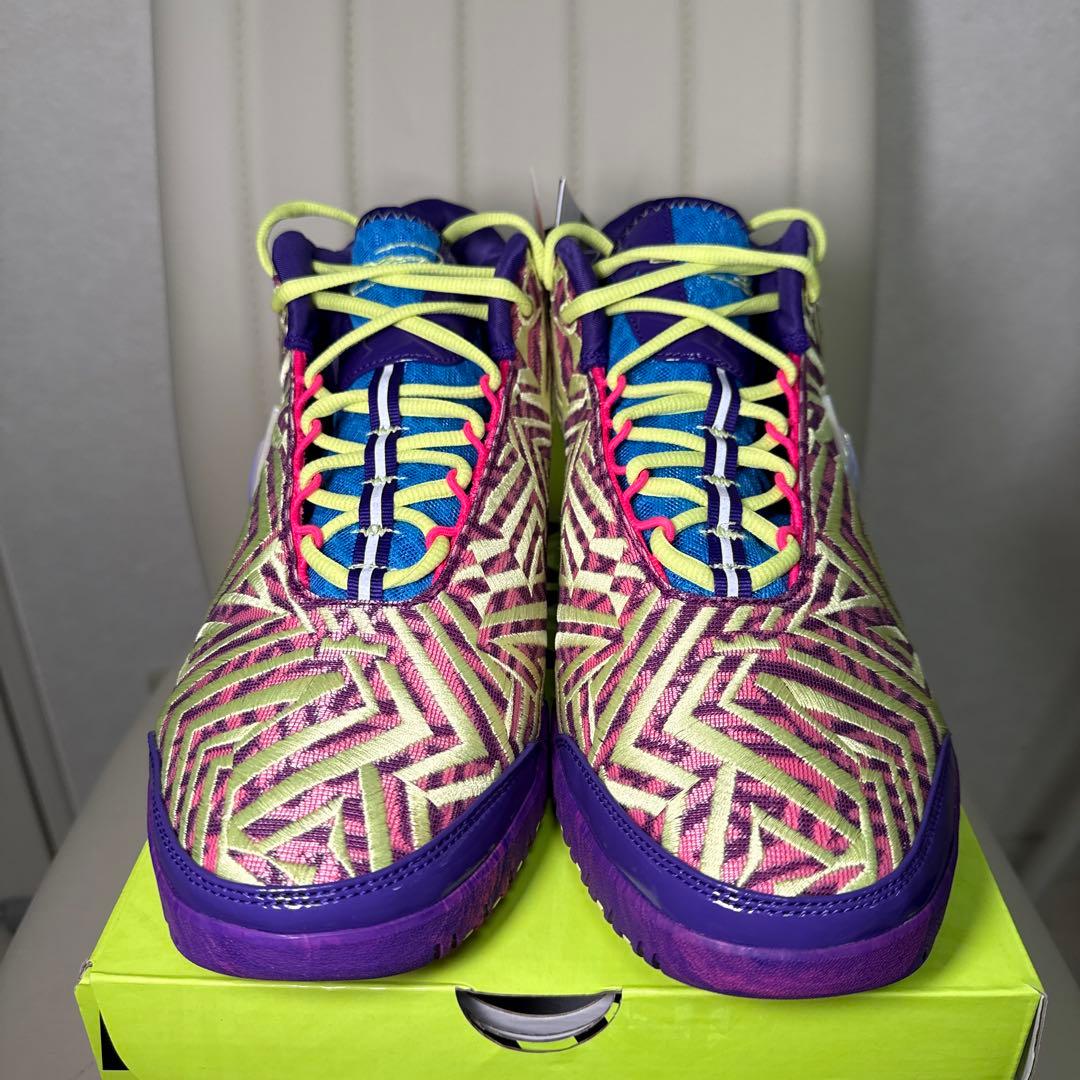 【新品未使用】LEBRON NXXT GENISUS 29cm