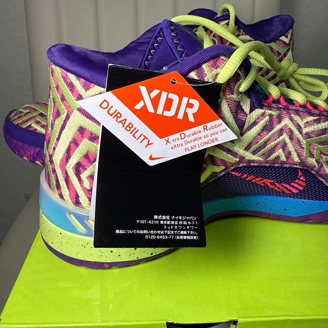 【新品未使用】LEBRON NXXT GENISUS 29cm