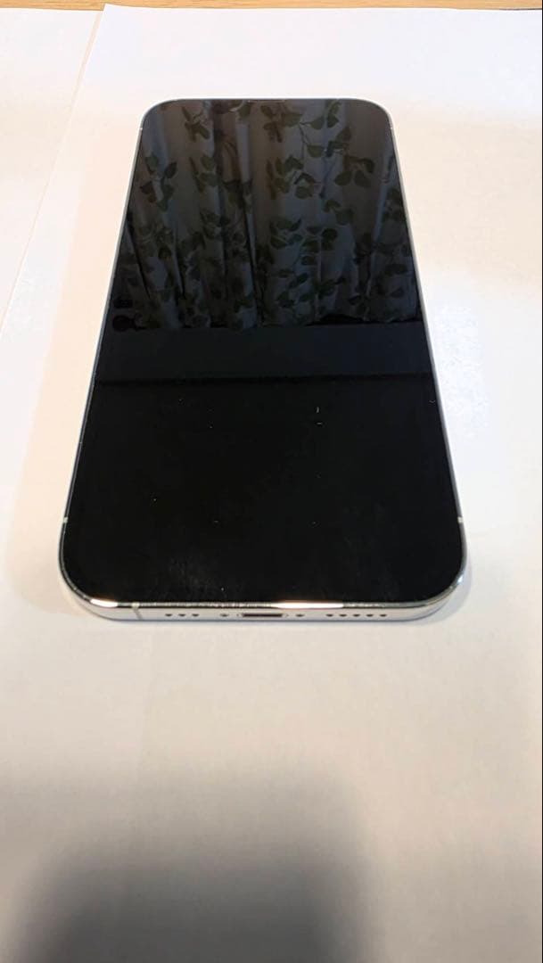 GK Katsu Apple iPhone 13 Pro シルバー 本体