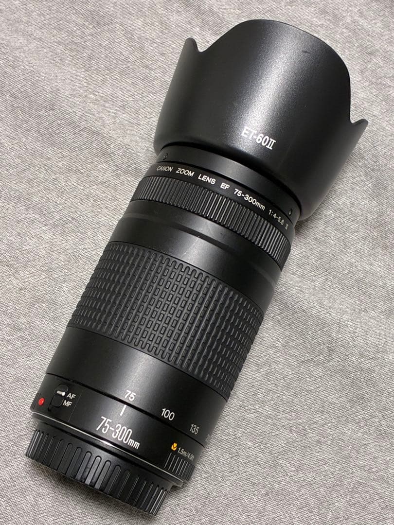 ⭐️美品⭐️ Canon EF 75-300mm F4-5.6 II フード付き望遠