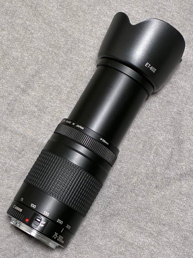 ⭐️美品⭐️ Canon EF 75-300mm F4-5.6 II フード付き望遠