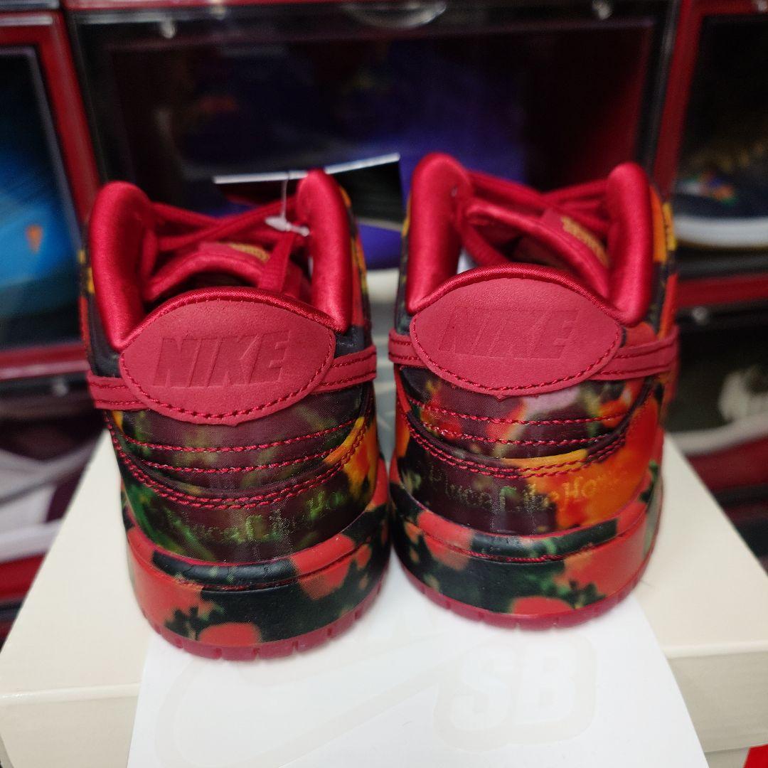 ✨TheWizardofOz × SBPSDunkLowPoppyField✨