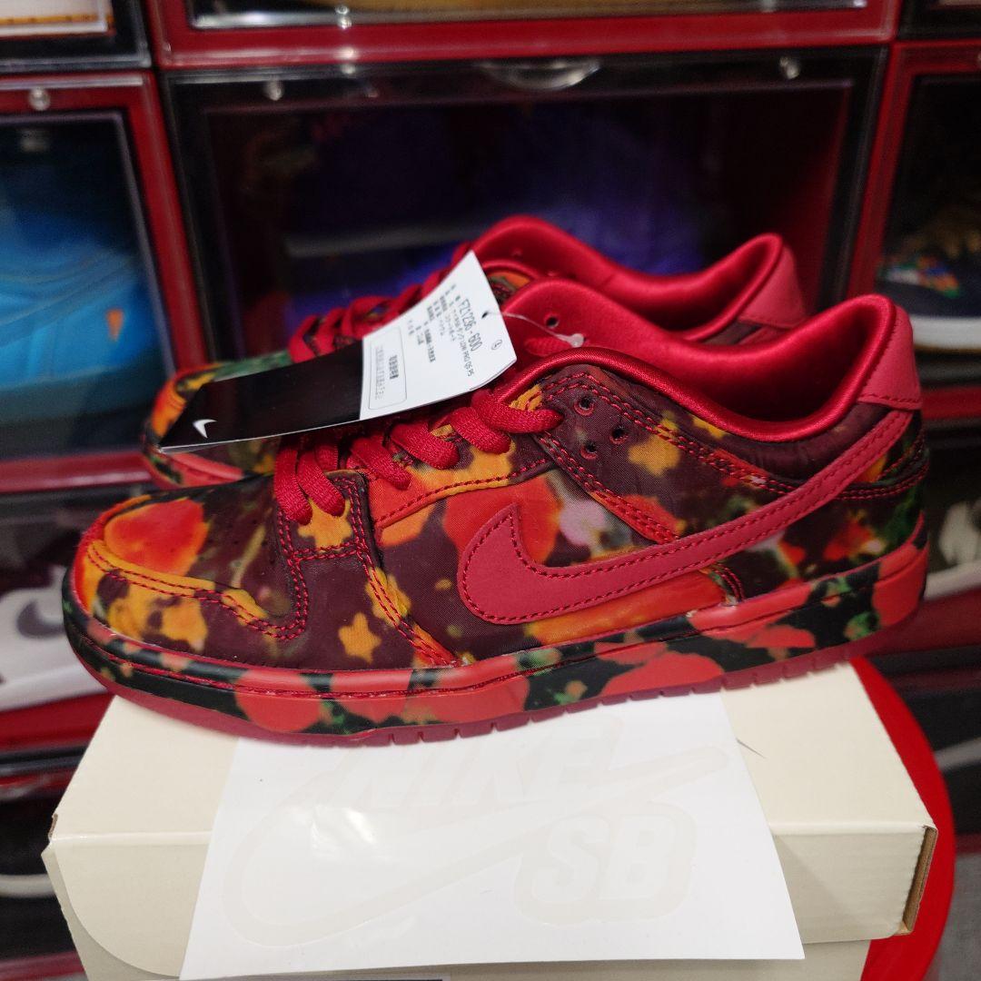 ✨TheWizardofOz × SBPSDunkLowPoppyField✨