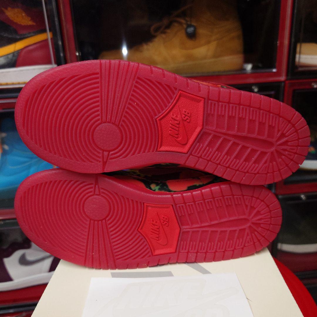 ✨TheWizardofOz × SBPSDunkLowPoppyField✨