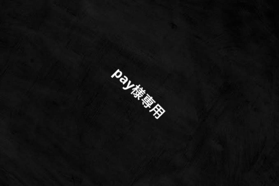 新品 Lサイズ 定価4.9万 ザ・ノースフェイス マタニティ レインコート 黒