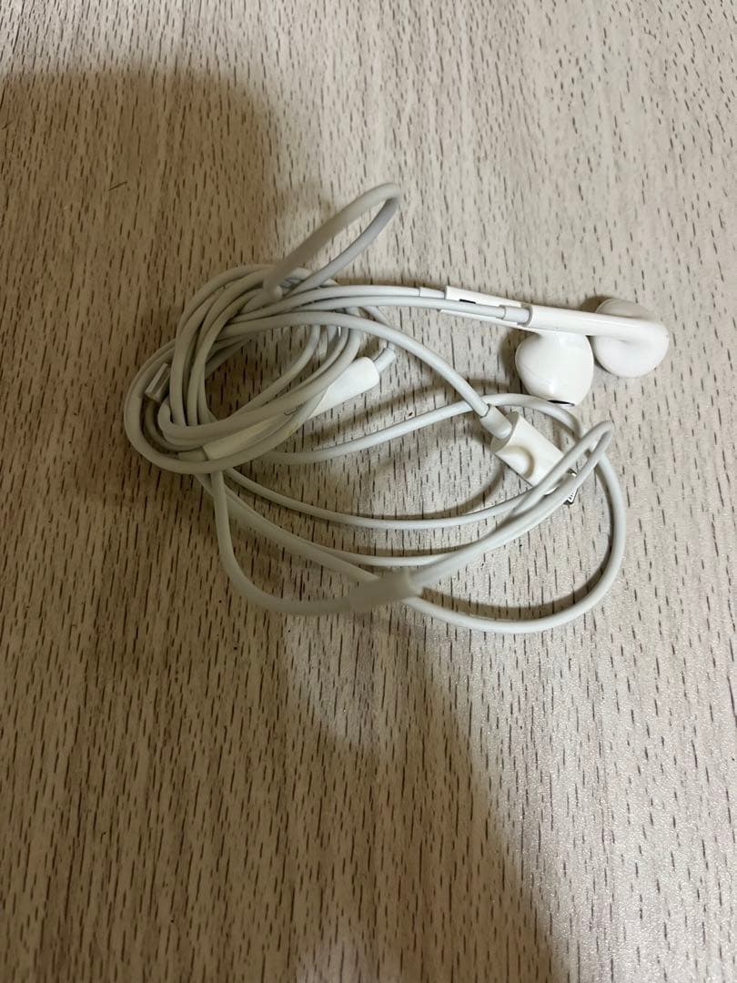 壊れかけのイヤホン