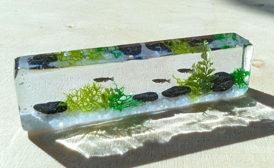 リリィページです