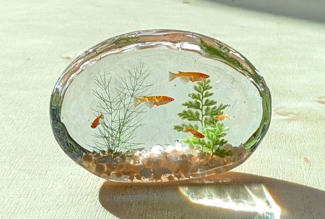 リリィページです