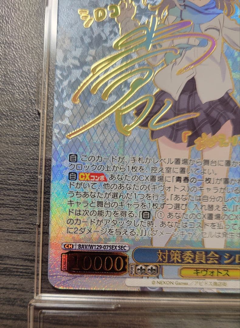 【最終値下げ】対策委員会　シロコ　SEC　ヴァイス