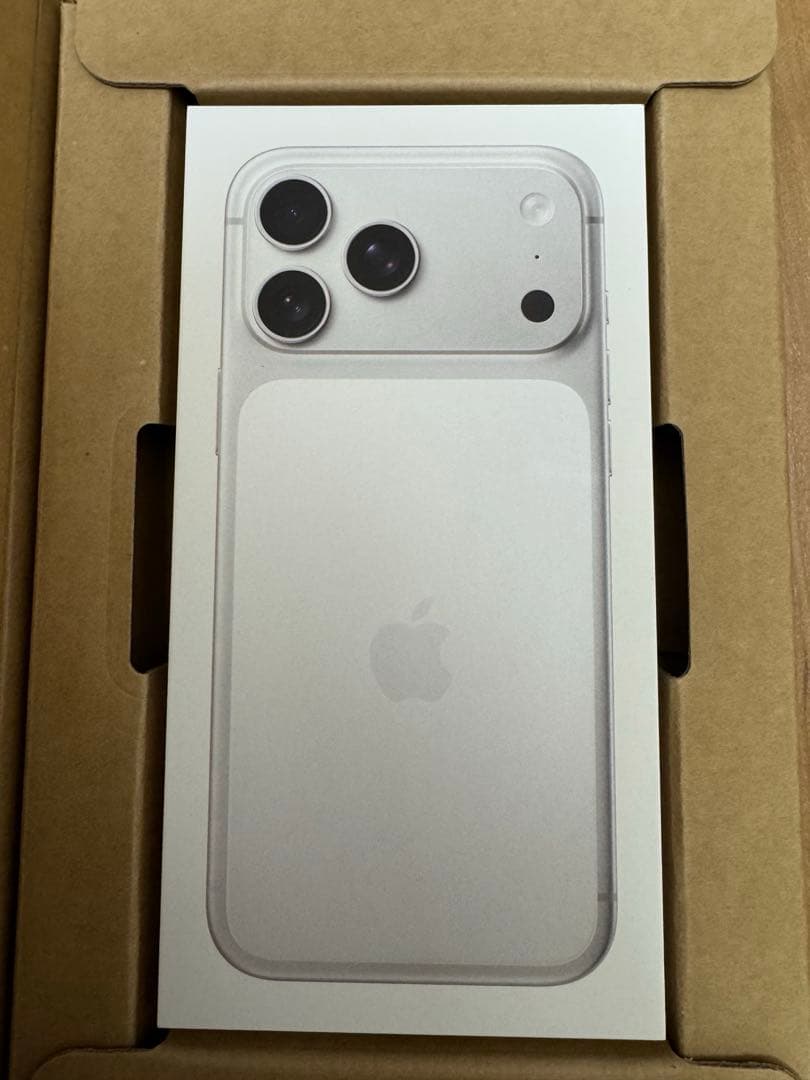 ２月６日まで　iPhone17Pro Max シルバー　256GB 値下げ不可