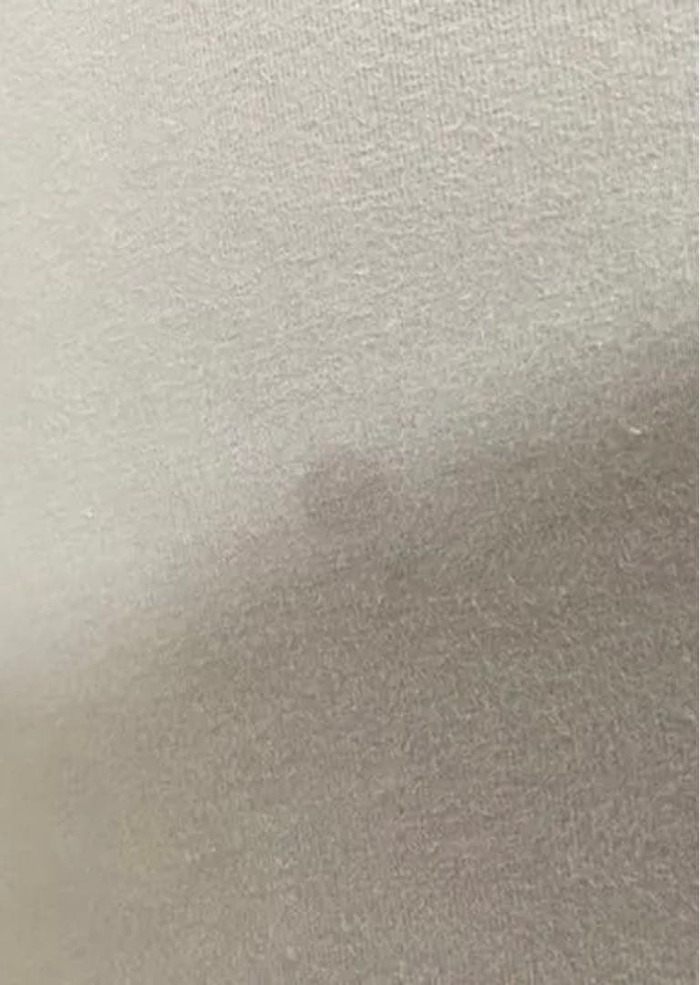 【愛知県 引き取り】Yogibo Max ヨギボーマックス ロールマックス