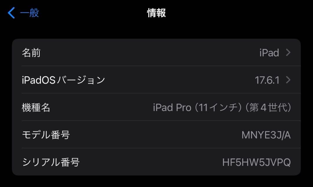 iPad Pro 11インチ 第4世代 256GB Cellularモデル