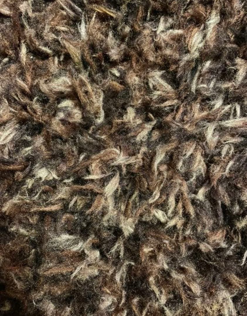 アルモニア　ラグ