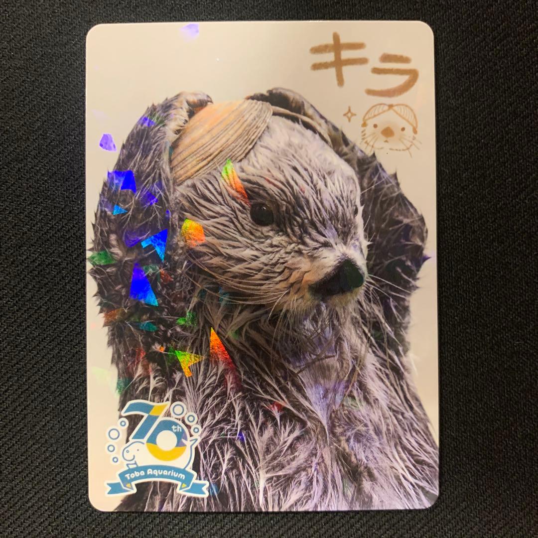 鳥羽水族館 TOBA AQUARIUMコレクションカード ラッコ キラ