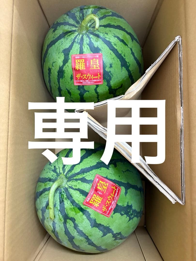 ここ出品2ケース