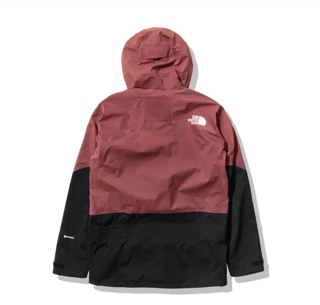 専用THE NORTH FACEスキースノーボードウェア ゴアテックスジャケット