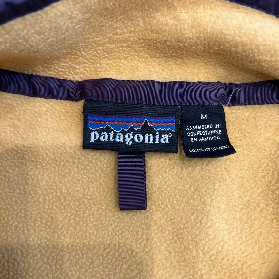 patagonia スナップt