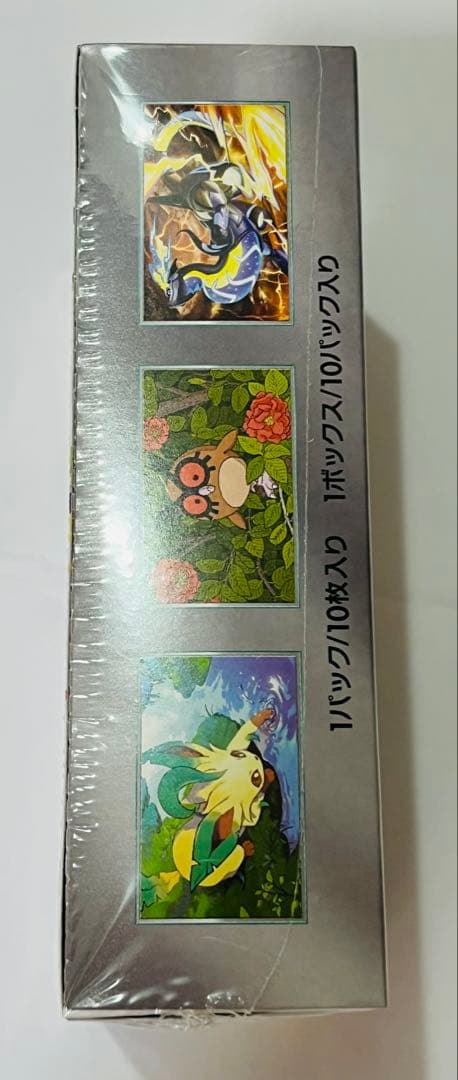 テラスタルフェスex 1box