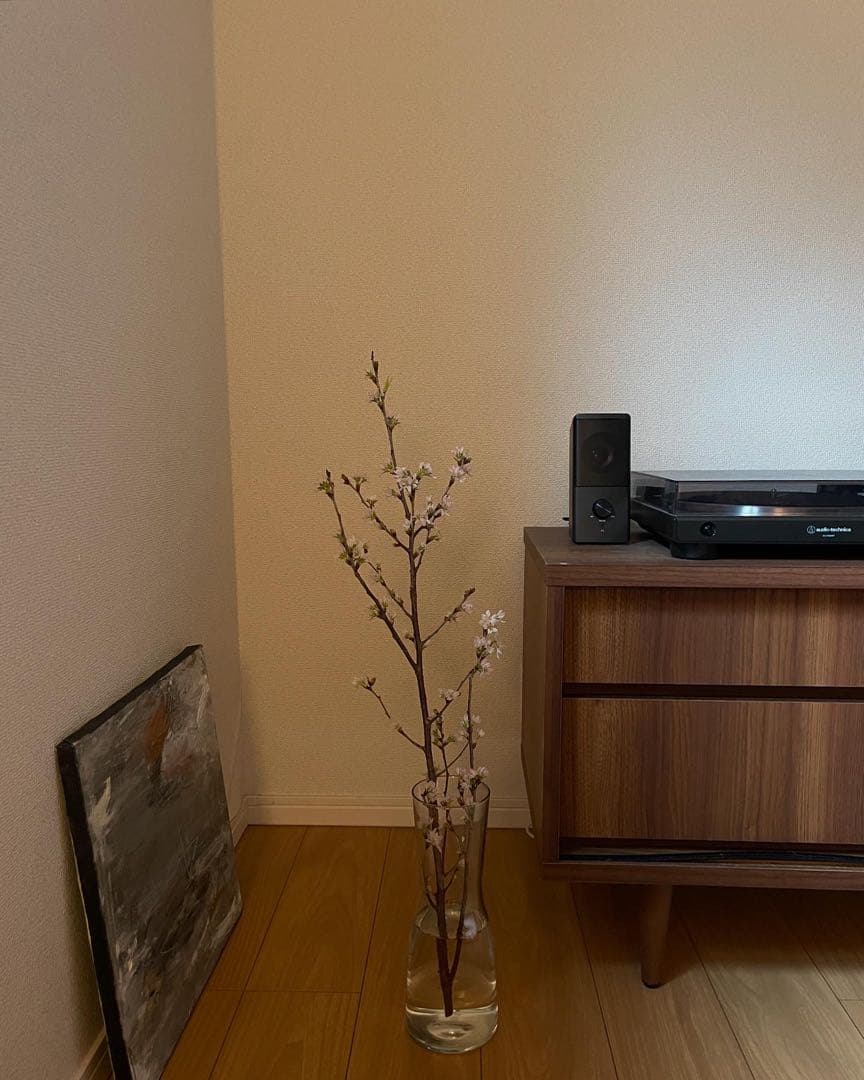 ちかもっちゃん専用⭐︎