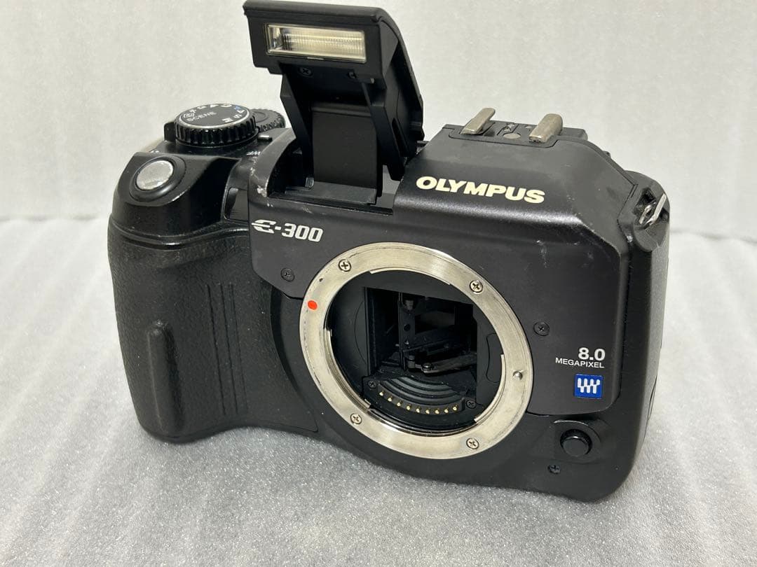 Olympus E-300 ボディ 156