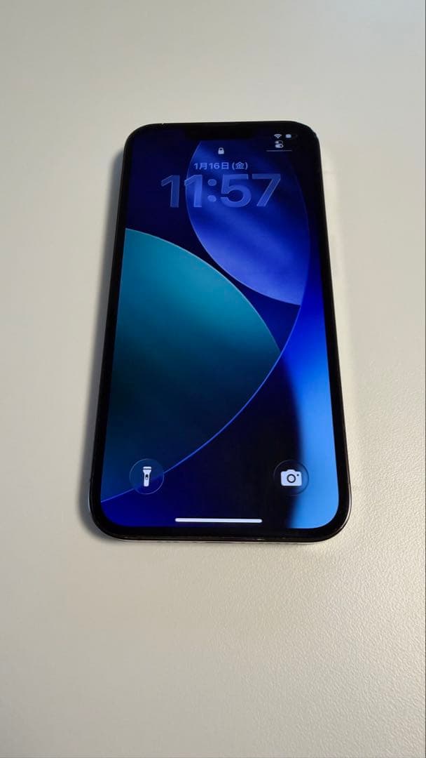 iPhone 13 Pro 256GB ※訳あり:Face IDが動作しない