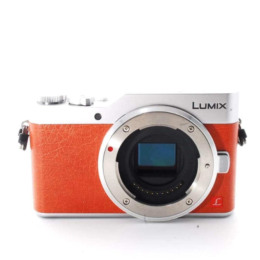 【最大1800円引】LUMIX GF9❤️Wi-Fi &自撮り❤️ミラーレス