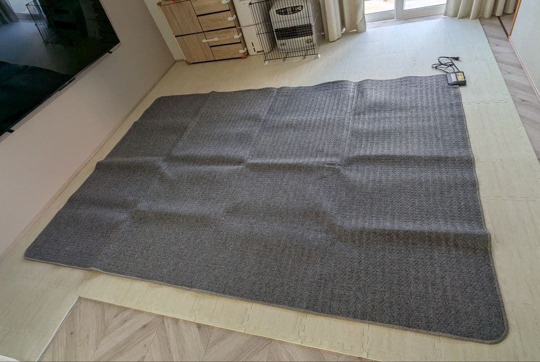 LIFEJOY ホット電気カーペット 4畳 295×195cm グレー