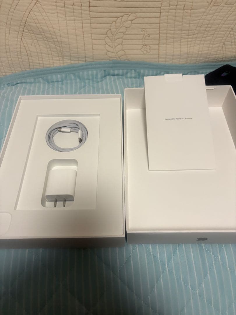 ⭕️一日だけ使用⭕️展示品並⭕️11インチiPadPro256GB第4世代Wi-Fi