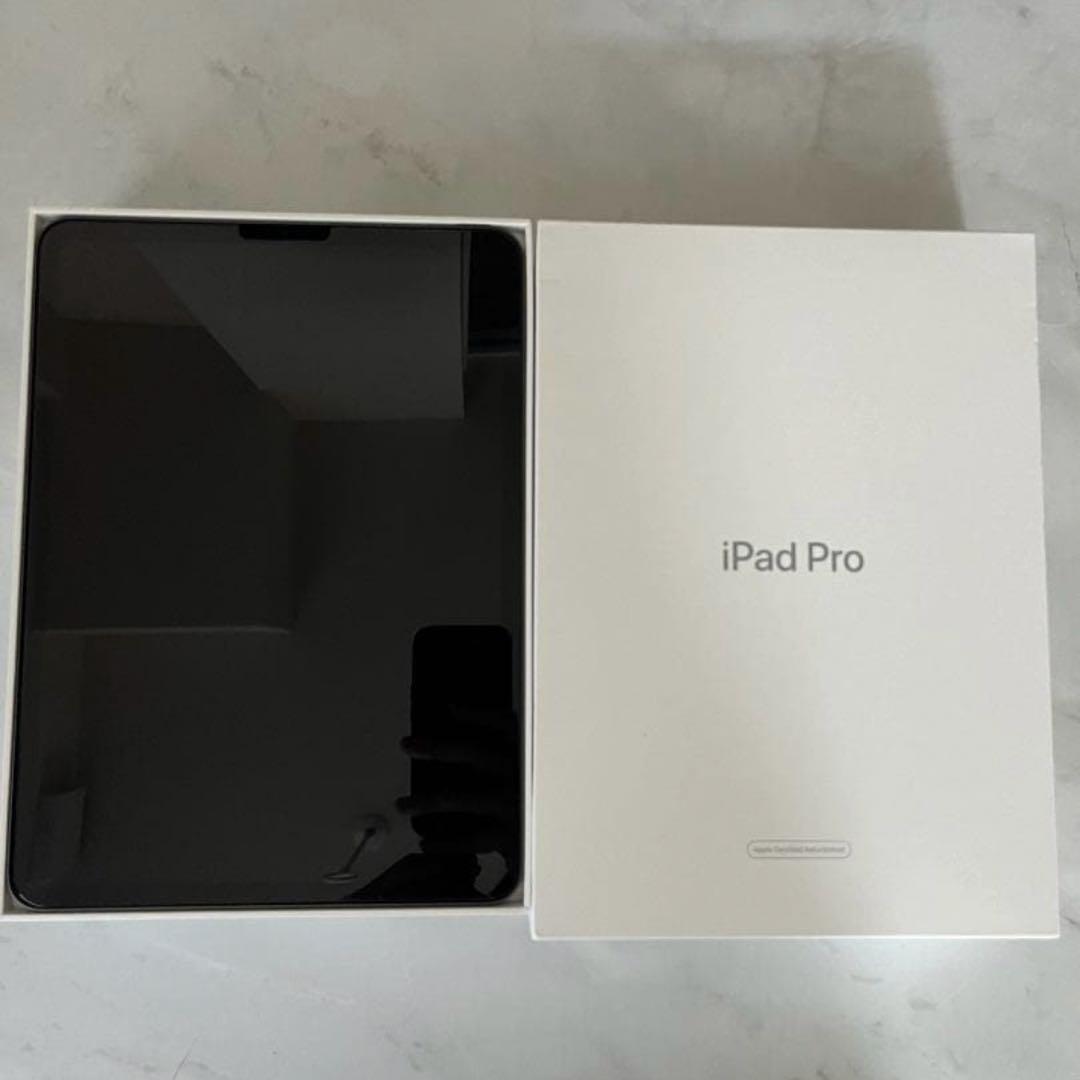 iPad Pro 11インチ 1世代 256GB Wi-Fi スペースグレイ