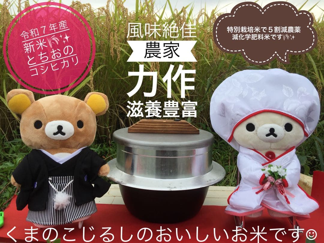 ⭐︎モモンガ⭐︎令和7年産農家力作⭐︎新潟とちおのコシヒカリ玄米風袋込25kg位